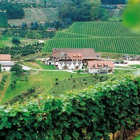 두르바흐 Weingut Alfred Huber 아파트 외부 사진