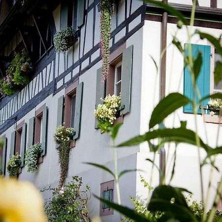 두르바흐 Weingut Alfred Huber 아파트 외부 사진