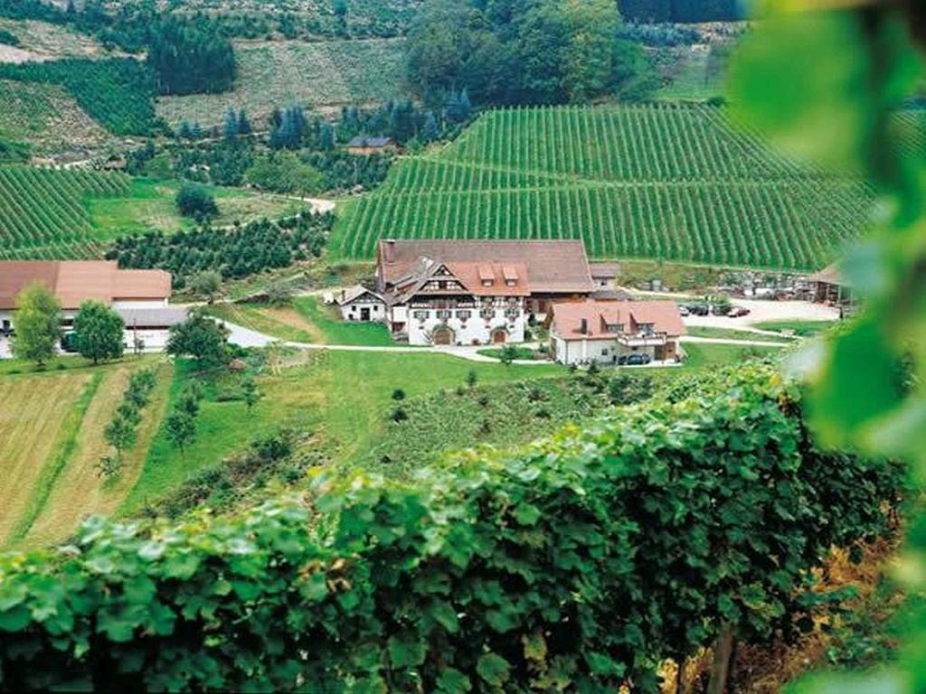 두르바흐 Weingut Alfred Huber 아파트 외부 사진